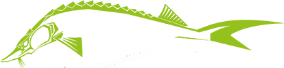 La Motta Seen